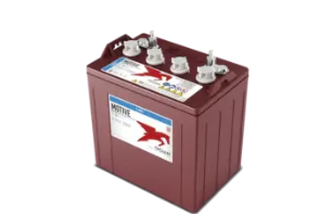 T875 Golf Cart Battery